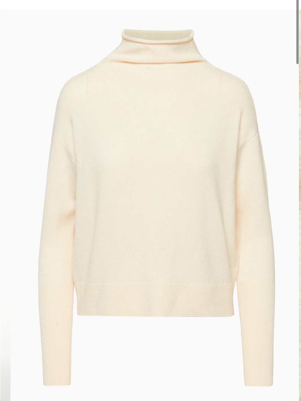 NWT! Aritzia Sweater